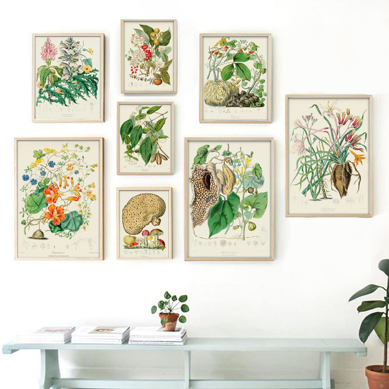 Vintage Collectible Posters - Botanical Collection Vintage Posters Prints Botanical