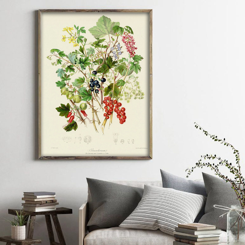 Botanical Collection Vintage P - Vintage Collectible Posters recension och pris